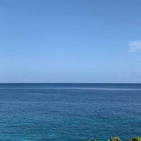 Irie Vibes Ocean View Villa Negril Bagian luar foto